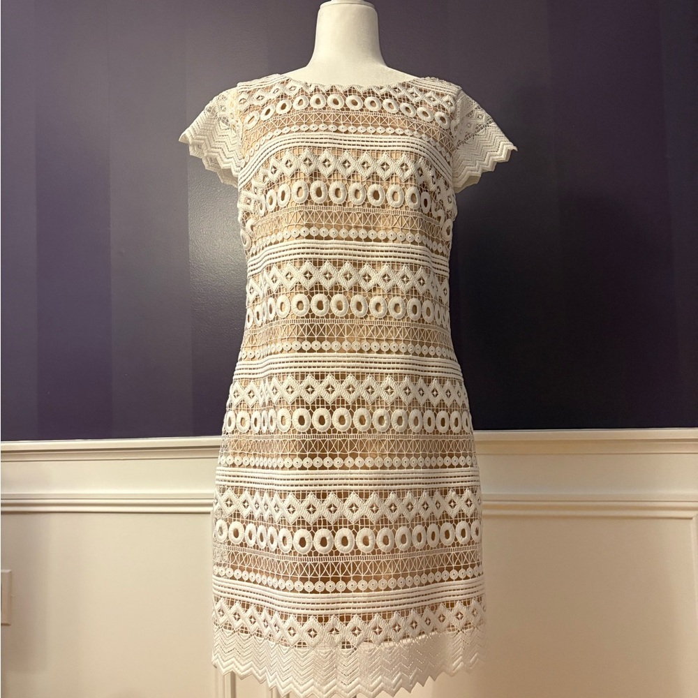 Eliza J Cream and Brown Lace Mini Dress